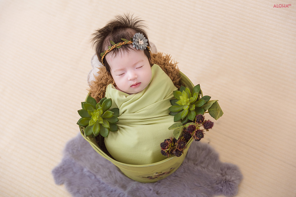 Album ảnh newborn 5